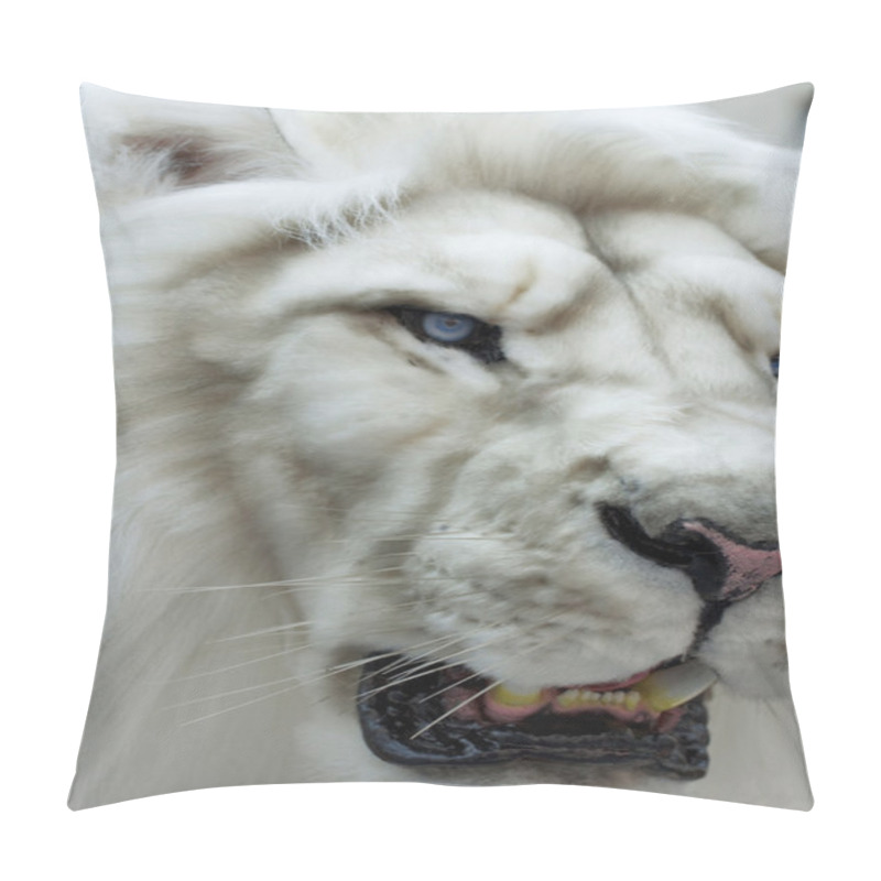 Personality  Head Of A White Lion, Stuffed Animal Pillow Covers