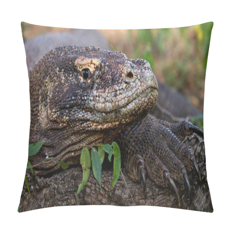 Personality  Komodo Dragon (Varanus Komodoensis) Pillow Covers