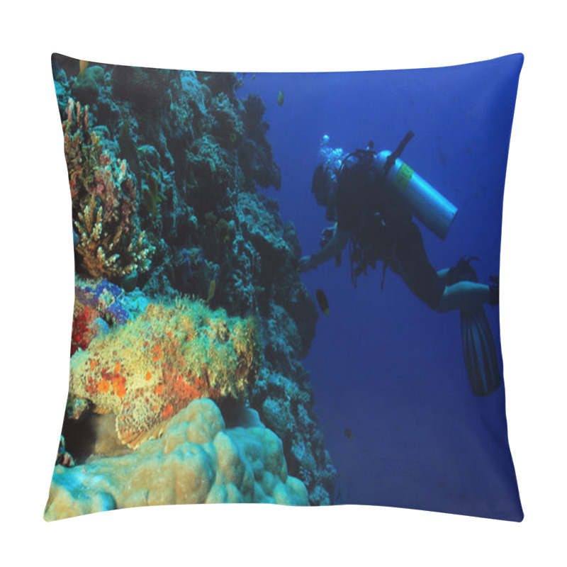 Personality  Stonefish And Diver Pillow Covers