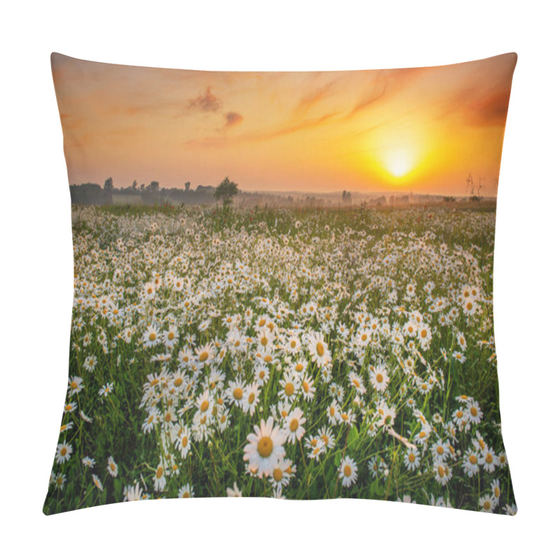 Personality  Beautiful Summer Sunrise Over Daisy Flowers Field Field Pillow Covers