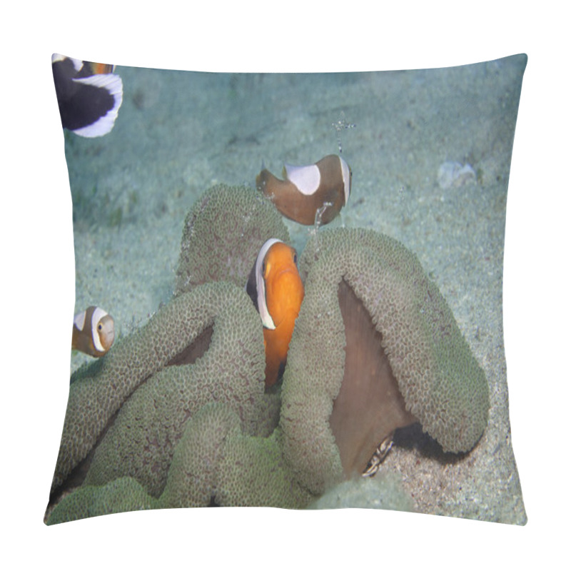 Personality  Symbiosis In The Seas Pillow Covers