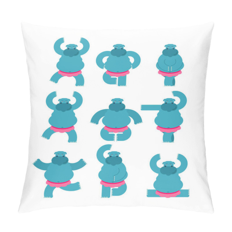 Personality  Hippo Ballerina Set. Hippopotamus Ballet. Sea Cow In Ballet Tutu Pillow Covers