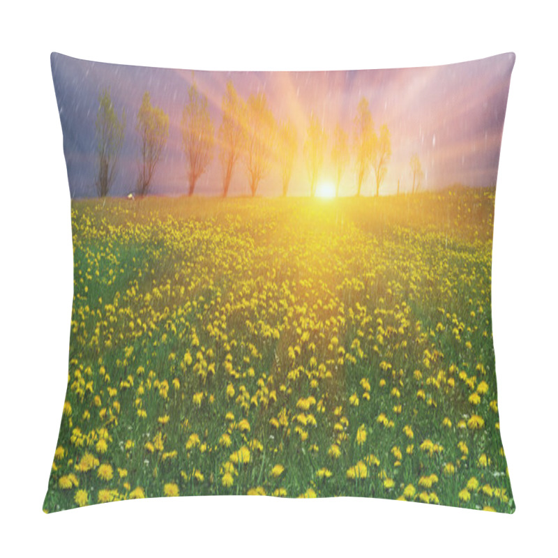 Personality  Summer Flowers Dandelions Pillow Covers