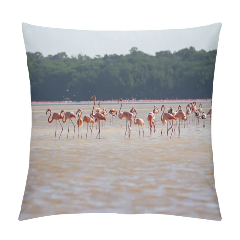 Personality  A Flock Of Pink Flamingos In The Water. Pillow Covers