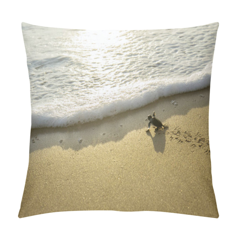 Personality  Image Of Little Sea Turtles Crawling On The Sand Beach Toward The Sea At Pangumbahan Beach, Sukabumi, West Java Pillow Covers