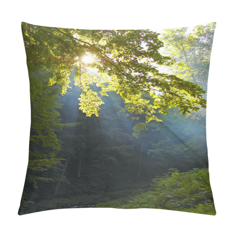 Personality  Morning Sunshine In A Forest Pillow Covers