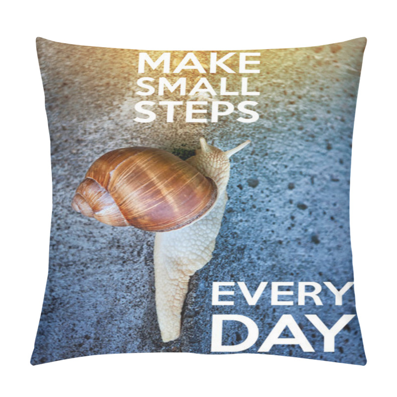 Personality  Inspirational Quote With Words Make Small Steps Every Day. Large Snail Crawling On A Stone Wall. Pillow Covers