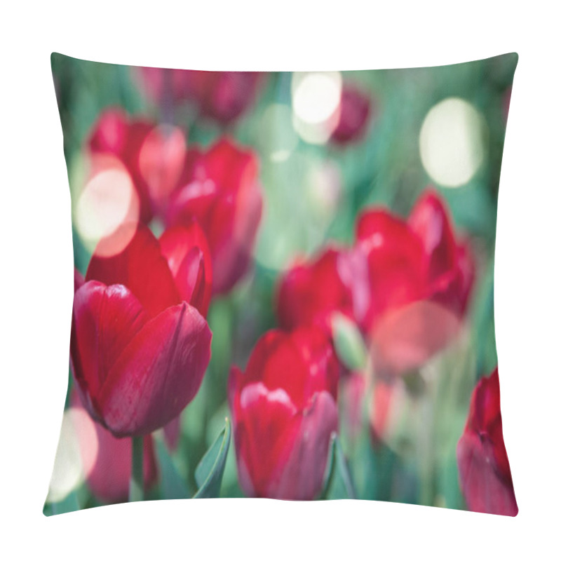 Personality  Close Up View Of Red Tulips And Sunlight Background Pillow Covers