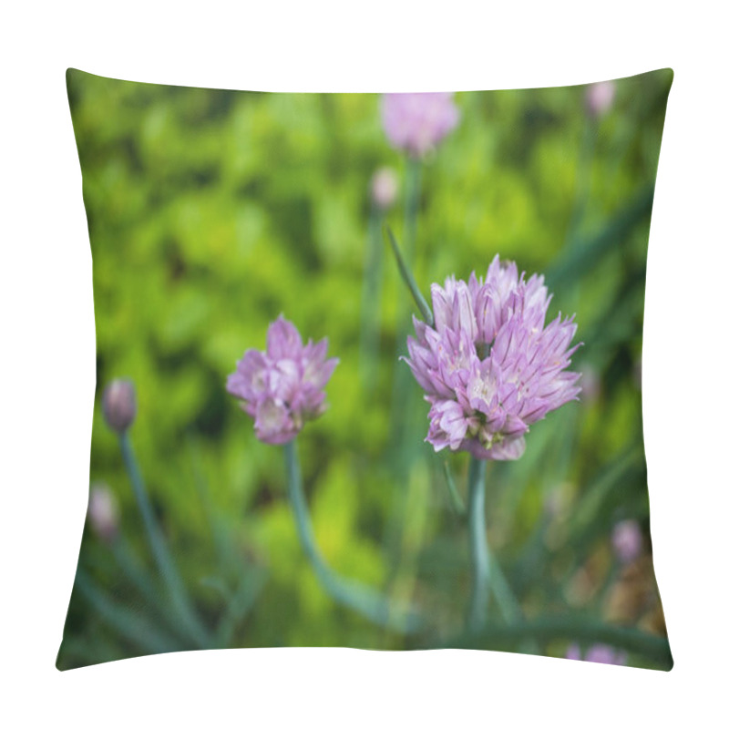 Personality  Light Purple Chive Flowers Blooming In The Herb Garden Pillow Covers