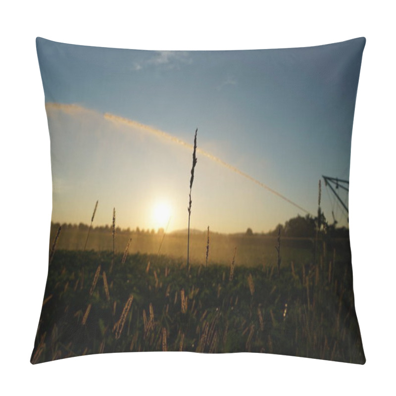 Personality  Long Lasting Drought In Germany Due To Lack Of Rain In Agriculture Requires Artificial Irrigation Pillow Covers