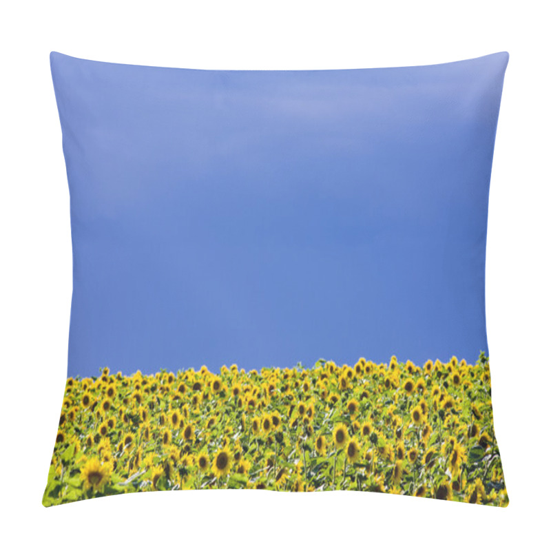 Personality  Sunflowers Pillow Covers