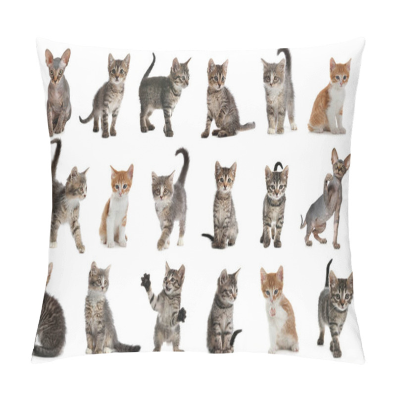 Personality  Different Adorable Kittens On White Background, Collage Pillow Covers