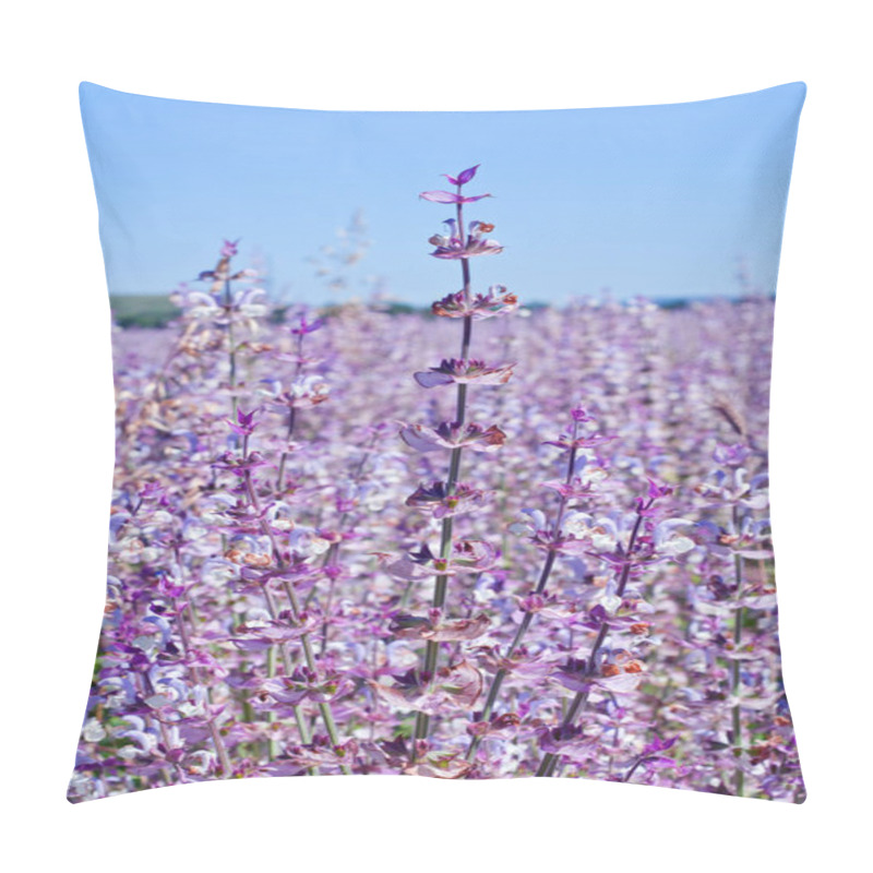 Personality  Beautiful Sage Flowers Blooms In The Summer Meadow. Pillow Covers