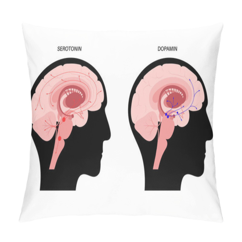 Personality  Serotonin And Dopamine Pathway Pillow Covers