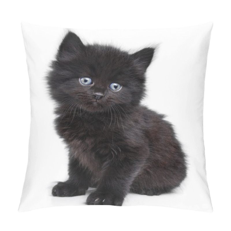 Personality  Black Little Kitten Sitting Down Pillow Covers