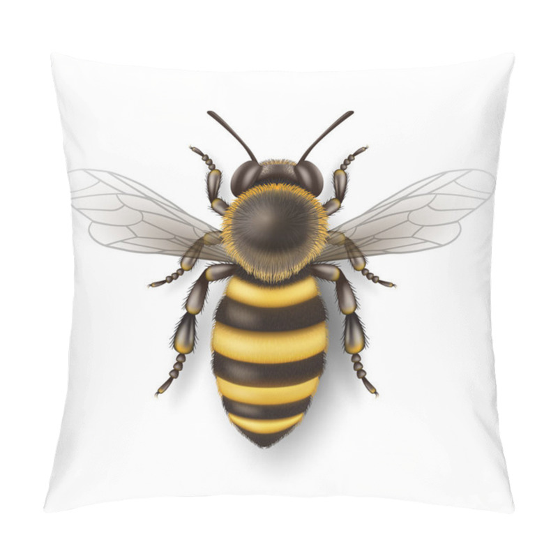 Personality  Vector 3d Realistic Detailed Honey Bee Icon Closeup Isolated On White Background. Queen Honeybee Design Template, Vector Illustration Of Bee In Macro, Top VIew. Pillow Covers