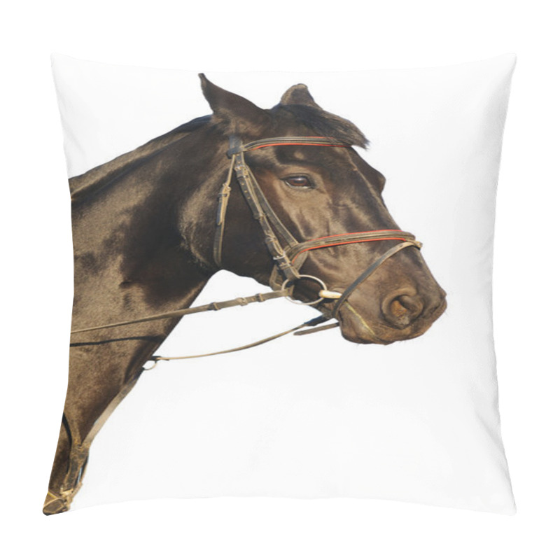 Personality  Portrait Of Black Horse Isolated Pillow Covers