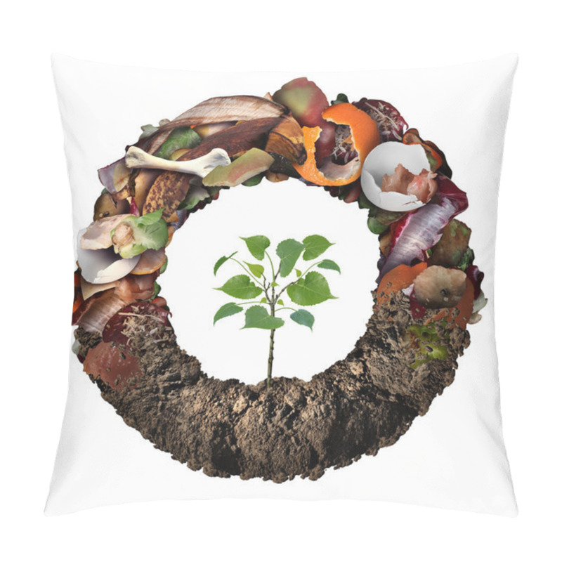 Personality  Composte Life Cycle Symbol Pillow Covers