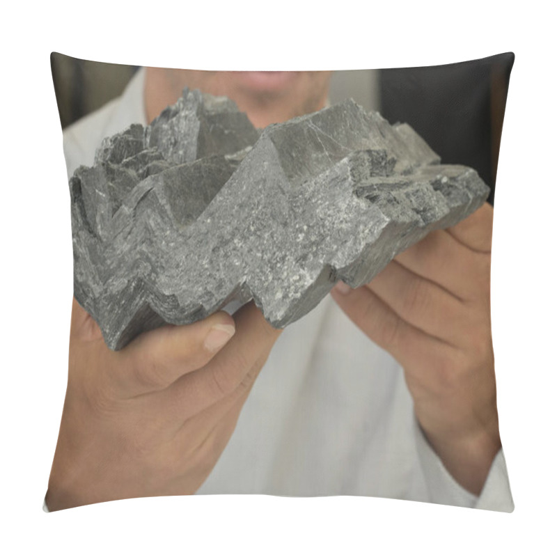 Personality  Research In The Field Of Geology, Rock Samples And Material Testing Pillow Covers