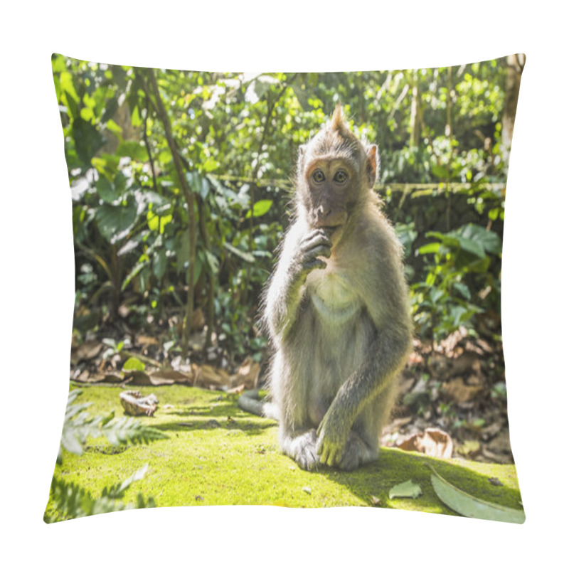 Personality  Eating Monkey In The Forest Pillow Covers