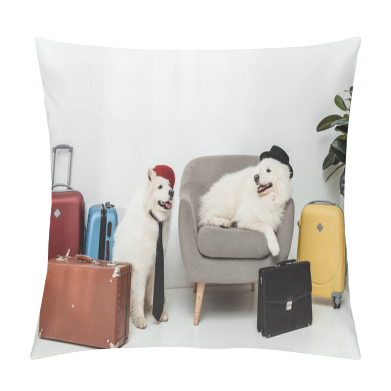 Personality  Samoyed Dogs With Suitcases  Pillow Covers