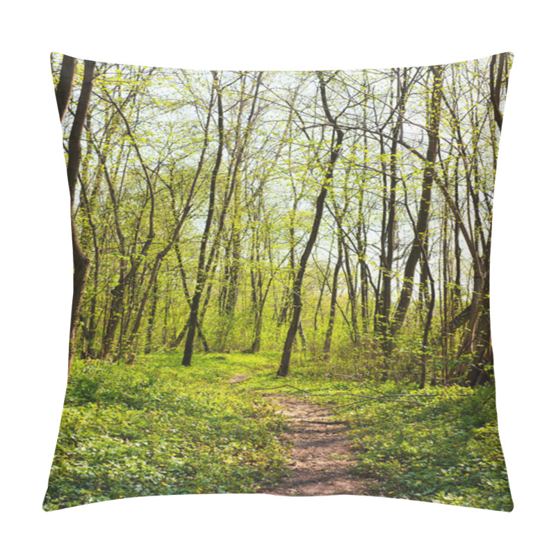 Personality  Trail In The Spring Forest Pillow Covers