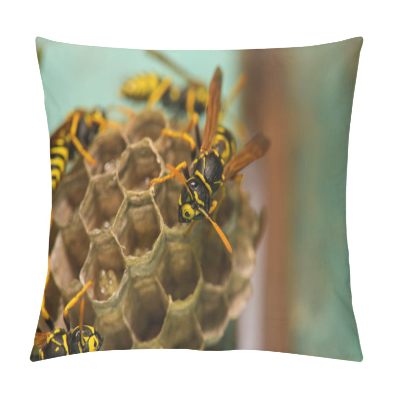 Personality  Wasp Hive With Wasps On A Wooden Door, Kharkiv, Ukraine Pillow Covers