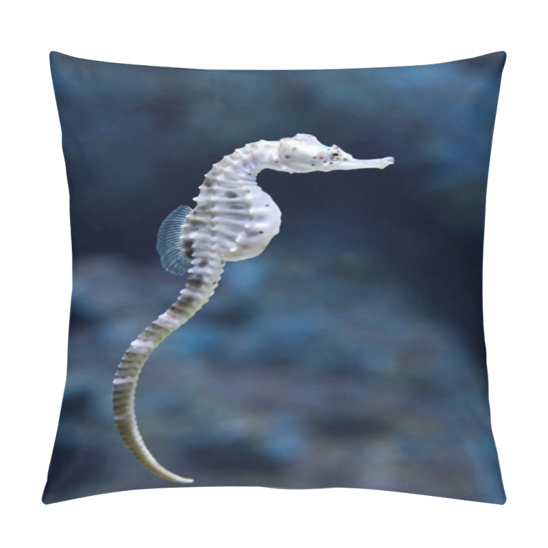 Personality  Big-belly Seahorse (Hippocampus Abdominalis) Pillow Covers