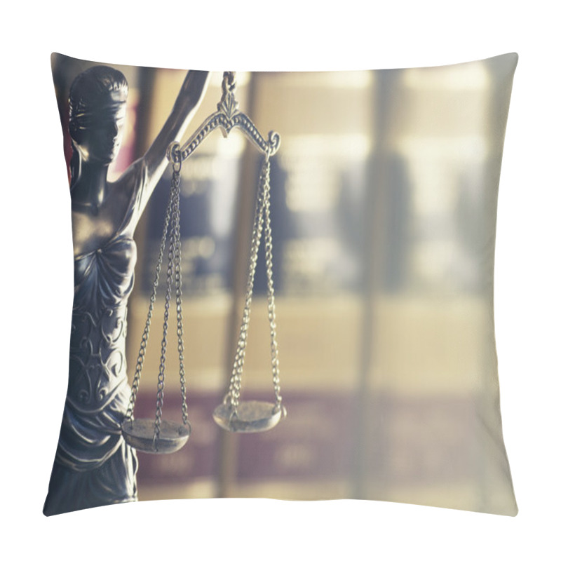 Personality  Legal Law Concept Image Pillow Covers