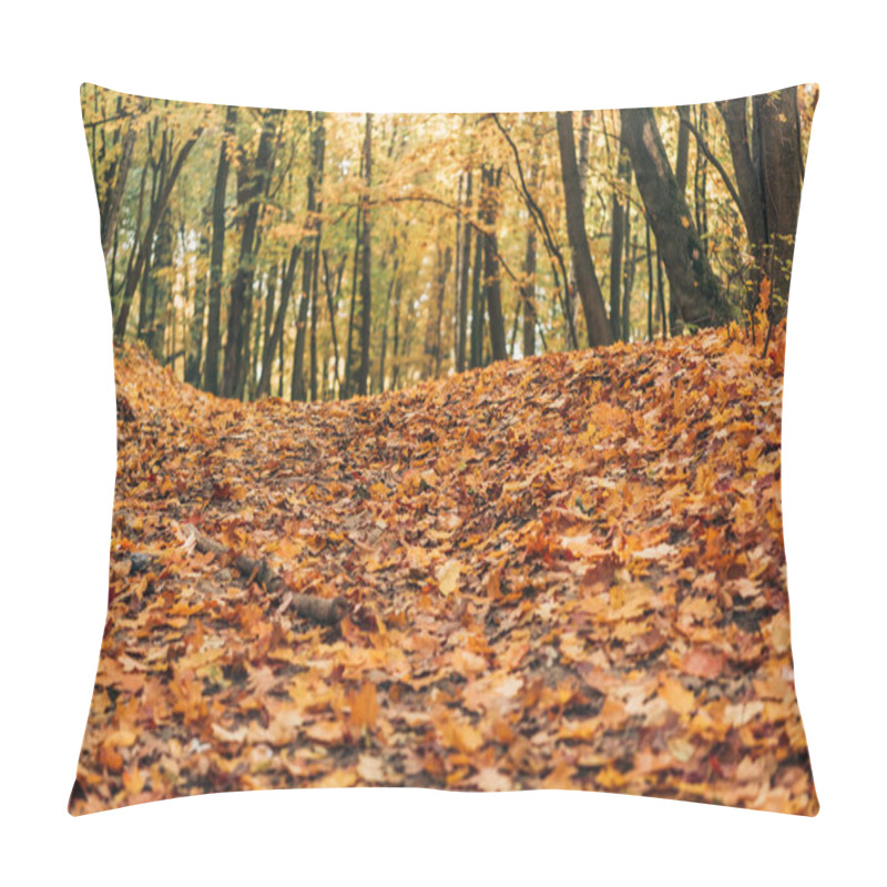 Personality  Selective Focus Of Autumn Forest With Fallen Leaves  Pillow Covers