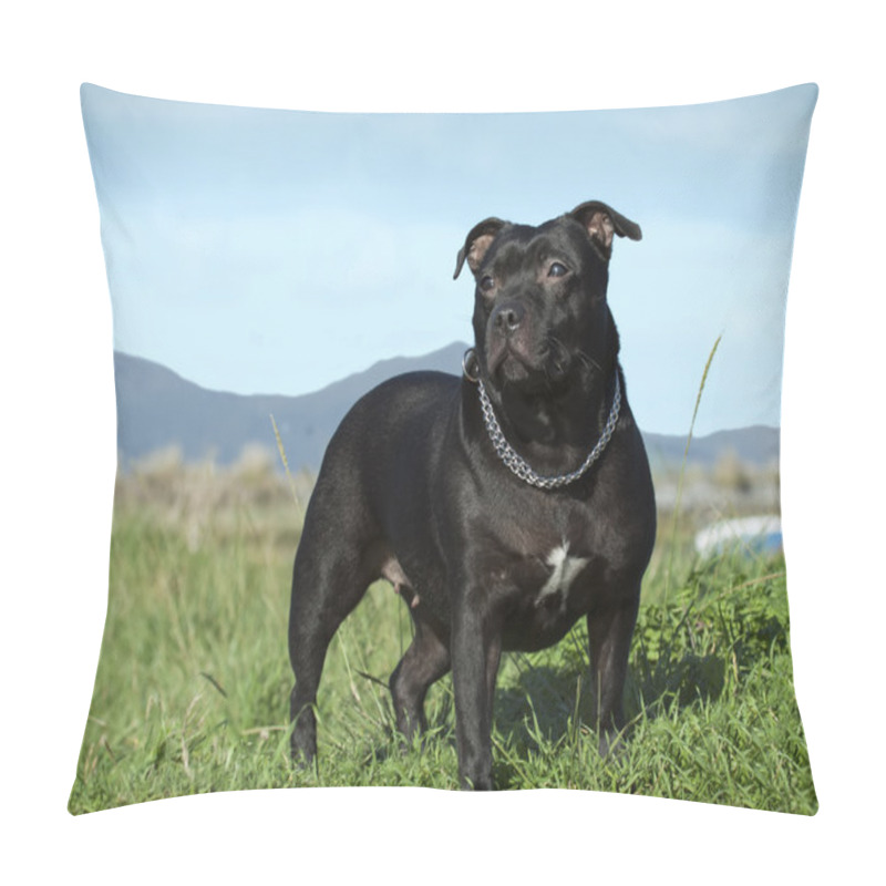 Personality  English Staffordshire Bull Terrier. Pillow Covers