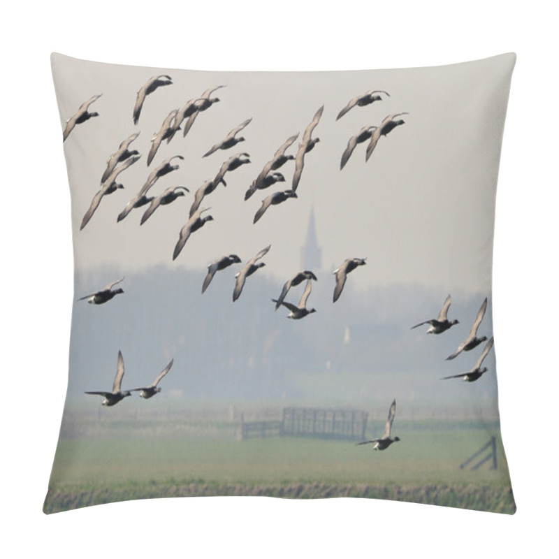 Personality  Brent Goose Pillow Covers