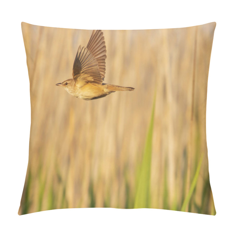 Personality  Bird Flies In A Beautiful Light Over The Swamp Thickets Pillow Covers