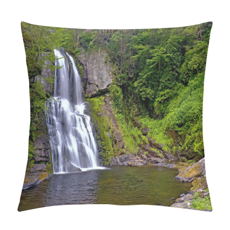 Personality  Bushkill Falls Pillow Covers