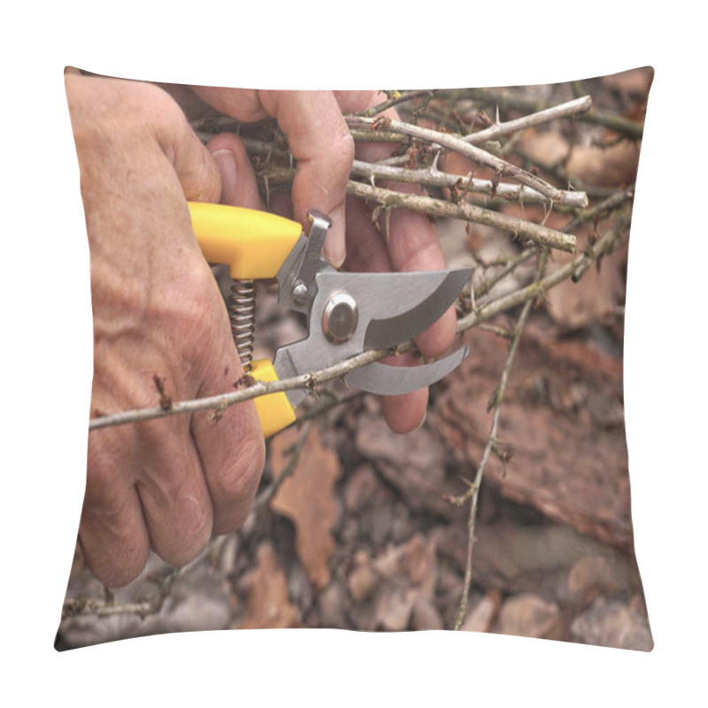 Personality  Pruning Shears In The Gardener's Hand. Early Spring And Late Autumn Are The Time To Prun The Bushes In The Garden.  Pillow Covers