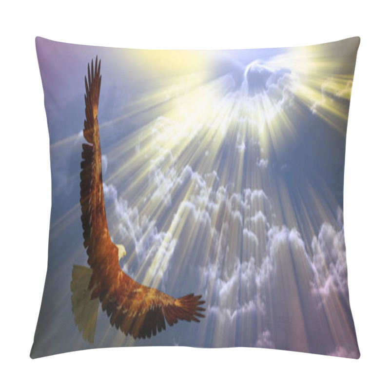 Personality  Eagle In Flight Above The Clouds. Sunset Or Sunrise Pillow Covers