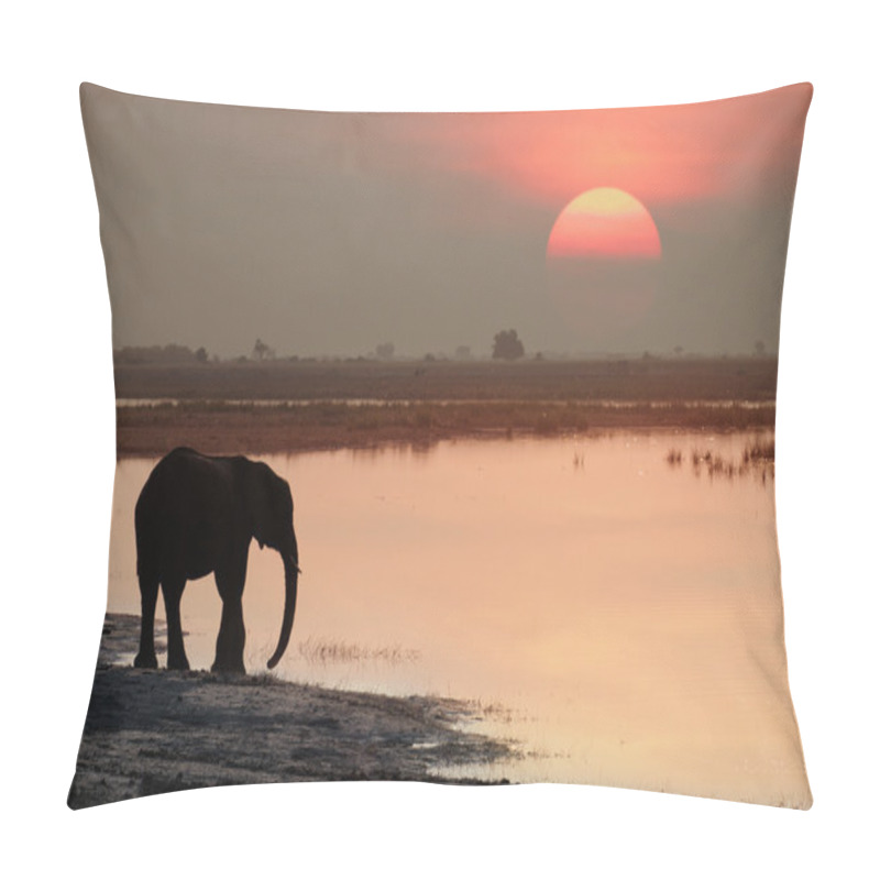 Personality  Elephant Senyati Pillow Covers