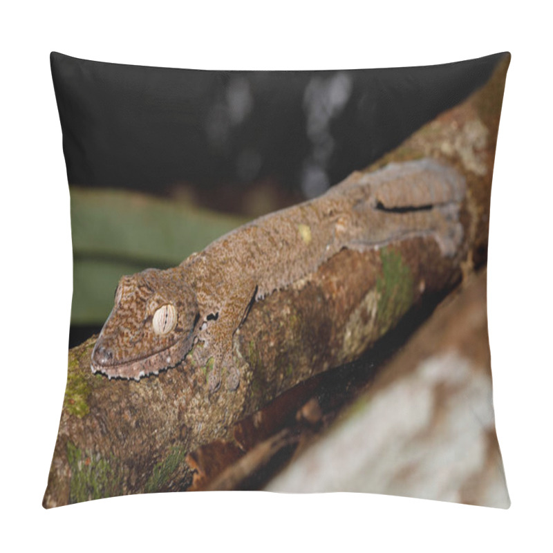 Personality  Leaf-tailed Gecko, Uroplatus Fimbriatus, Madagascar Pillow Covers