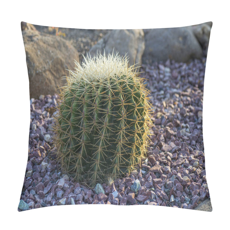 Personality  Cactus Plant In Park Pillow Covers