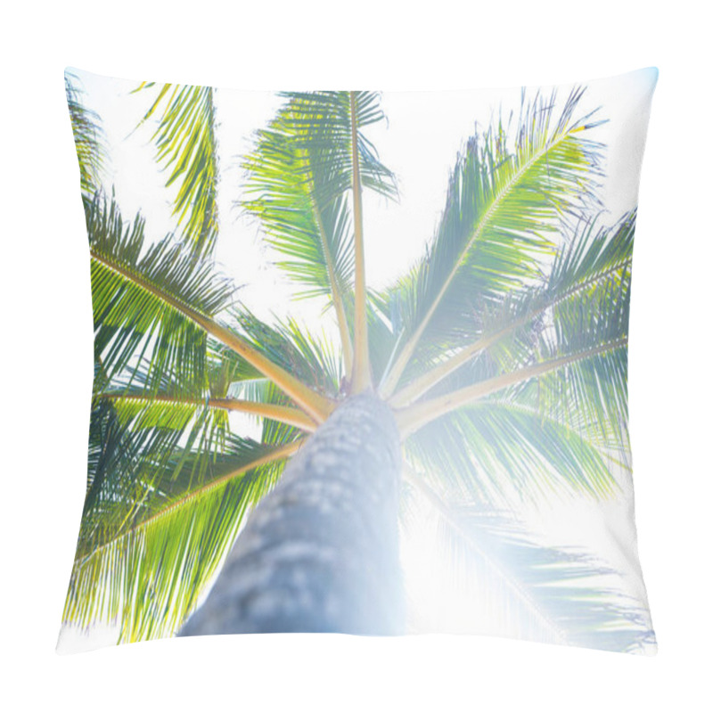 Personality  Palm Tree Bottom View Hot Day Pillow Covers