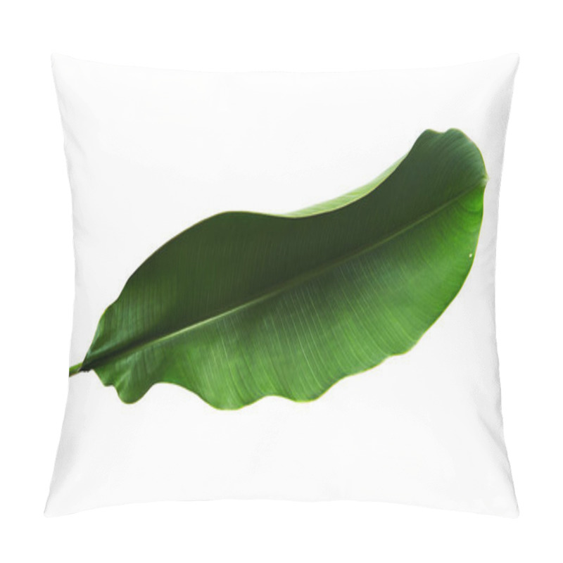 Personality  Strelitzia Reginae, Heliconia, Bird Of Paradise Foliage Isolated On White Background, With Clipping Path Pillow Covers