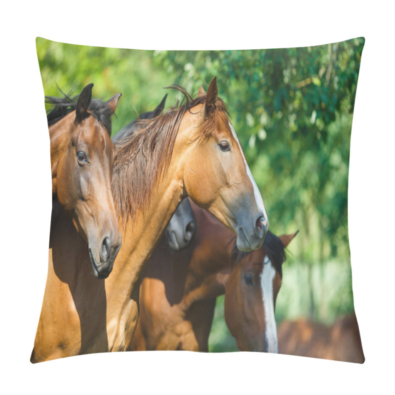 Personality  Herd Of Horse On The Meadow Pillow Covers