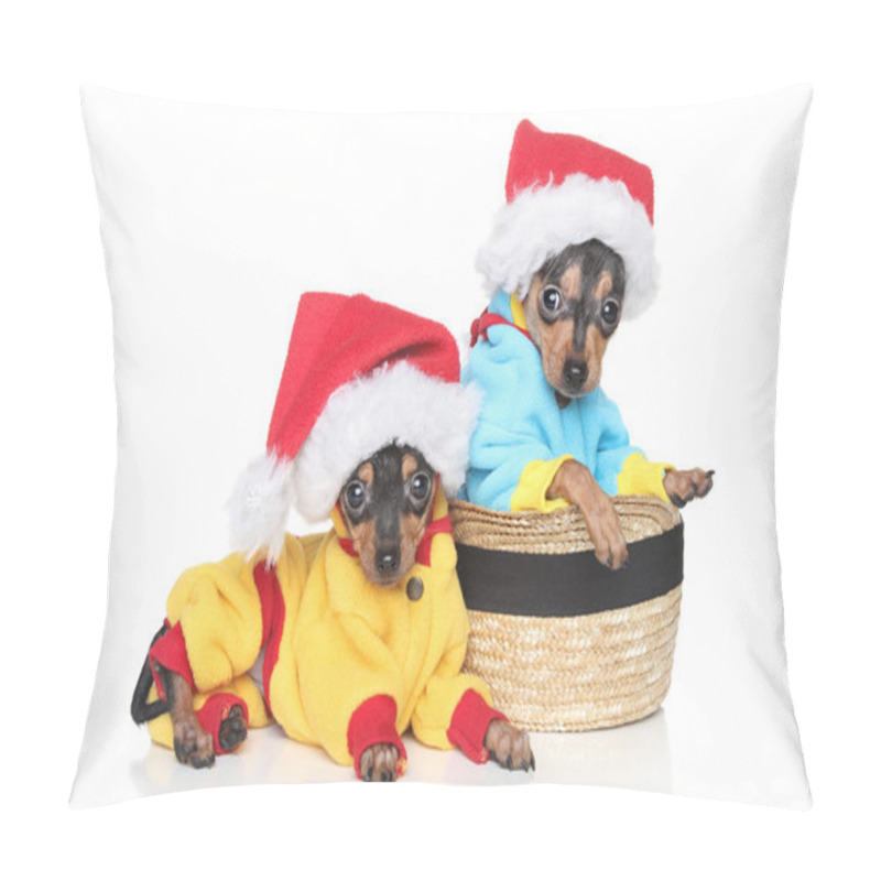 Personality  Russian Toy Terrier Puppies In Winter Clothing Pillow Covers