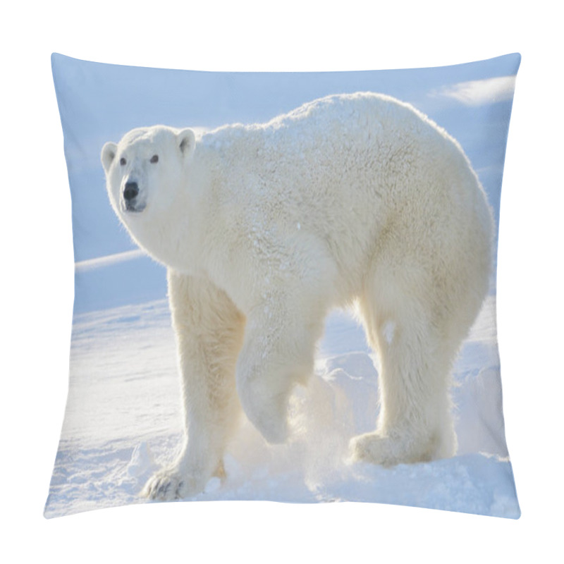 Personality  Polar Bear (Ursus Maritimus) Mother Standing At Freshly Opened Den, With Backlight, Wapusk National Park, Canada. Pillow Covers