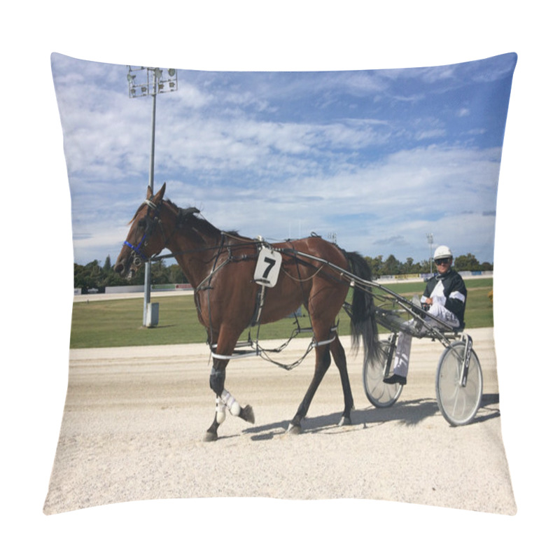 Personality  Harness Racing In Alexandra Park Raceway In Auckland New Zealand Pillow Covers