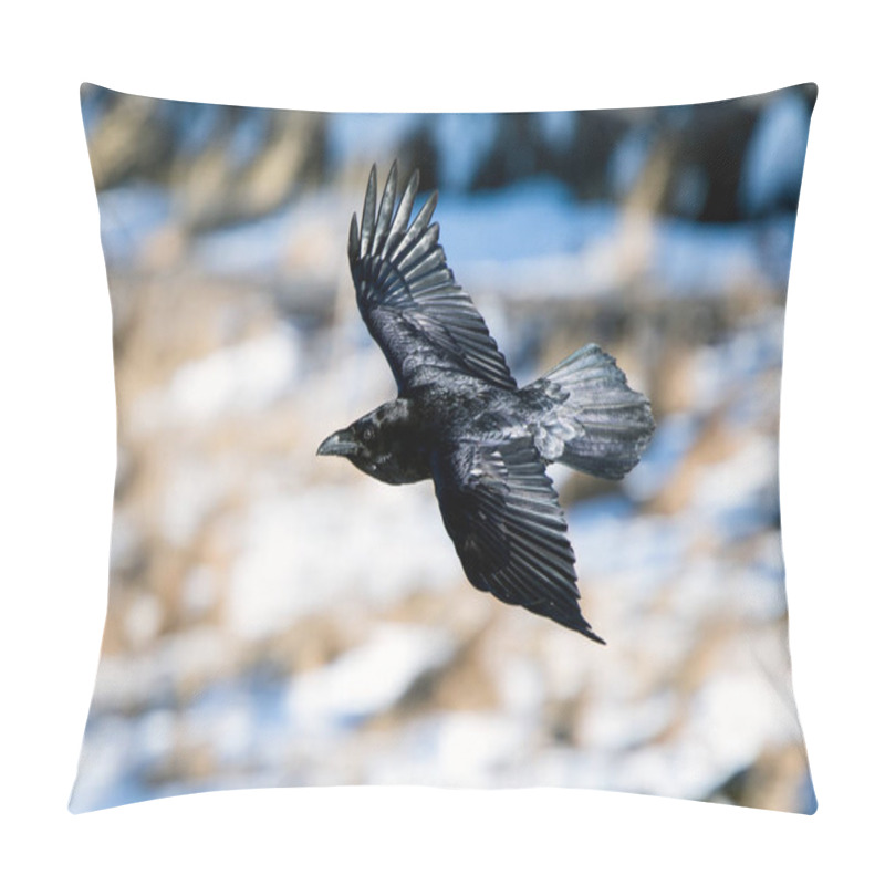 Personality  The Raven Of Iceland And Faeroe Islands Is A Sub Species Of The Common Raven Pillow Covers