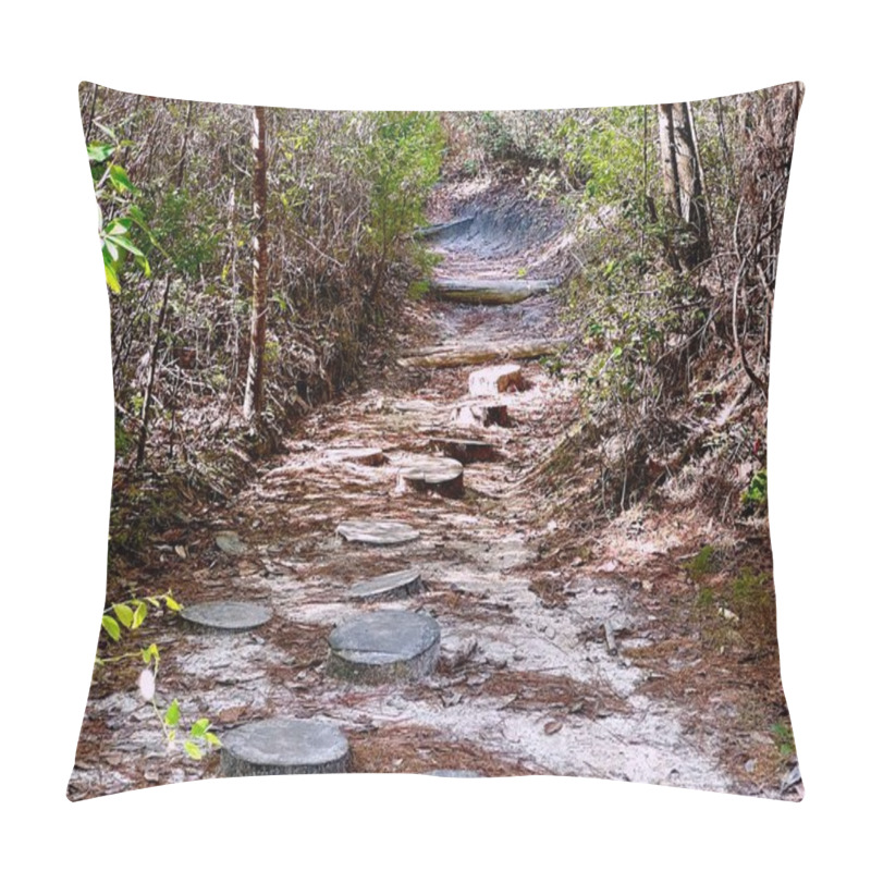 Personality  A Quiet Dirt Trail With Rustic Stepping Stones, Surrounded By Trees And Dappled Sunlight, Offering A Serene, Adventurous Atmosphere. Pillow Covers