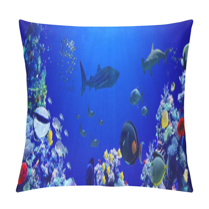 Personality  Panorama Background Of Beautiful Coral Reef With Marine Tropical Fish In Central Pacific That Whale Shark Visited Pillow Covers