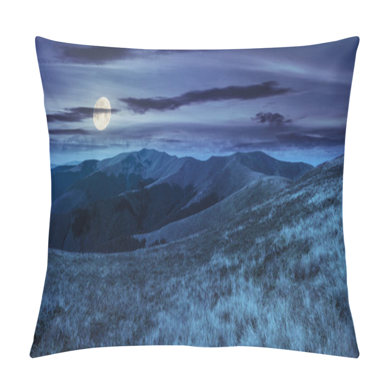 Personality  Wild Grass On Mountain Top At Night Pillow Covers