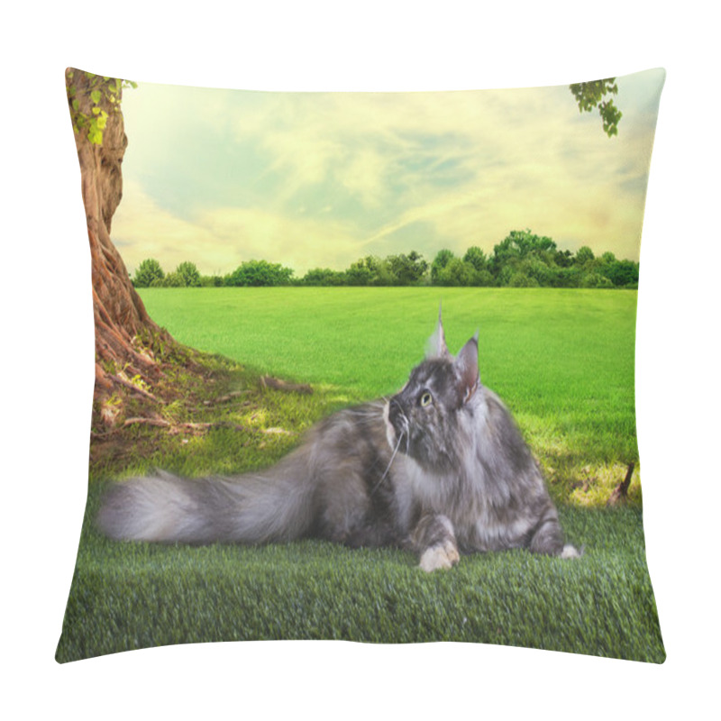 Personality  Maine Coon Cat Hunts Summer Day Pillow Covers